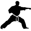 Karate coaching